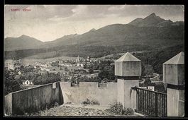 AK Olten, Ortspanorama mit Mauer und Bergen im Hintergrund