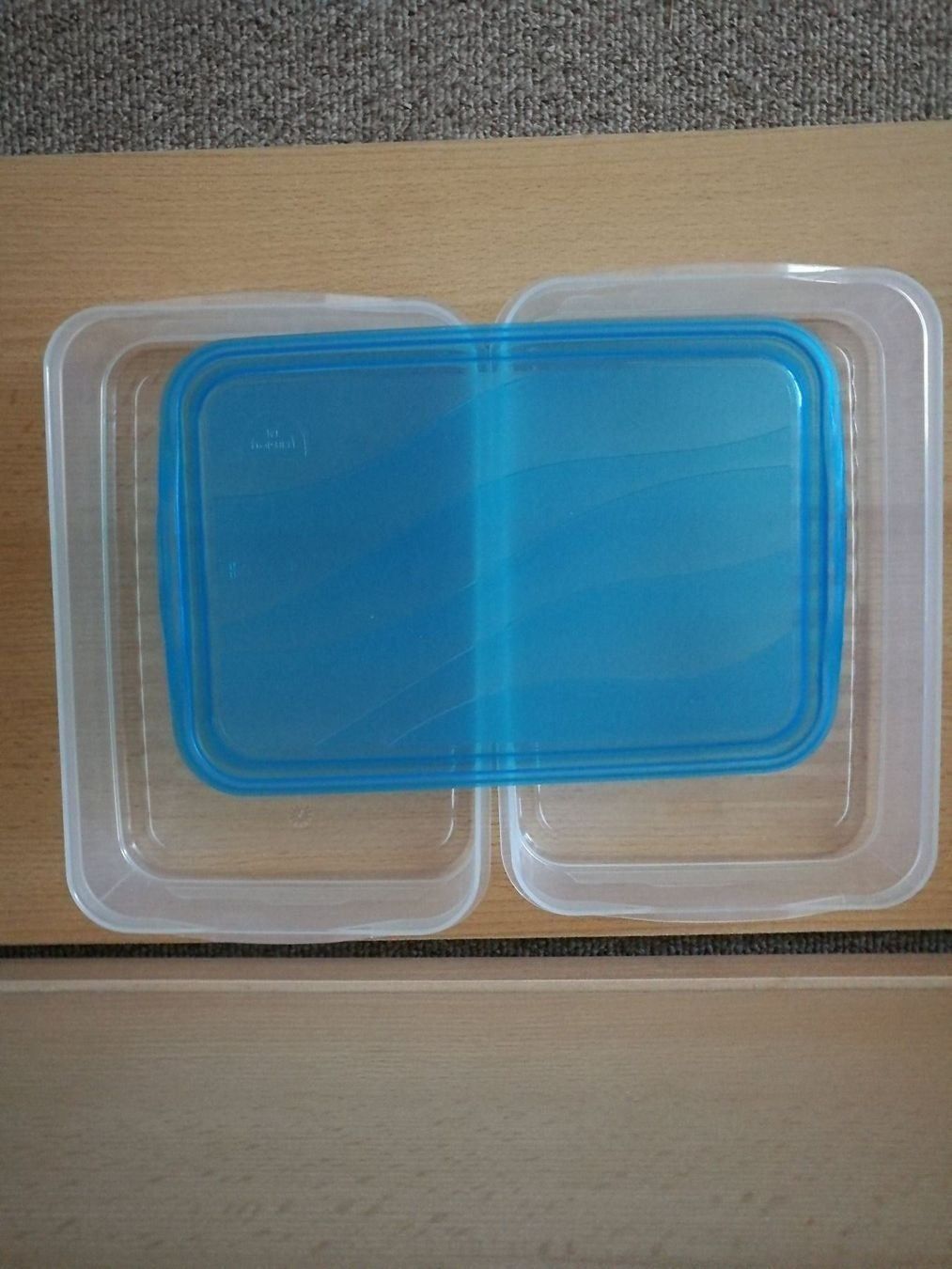 Behälter & Ähnliches: 2 Aufbewahrungsboxen aus Polypropylen – Neu (gemäss Beschreibung) aus Horn von sonjamenzi