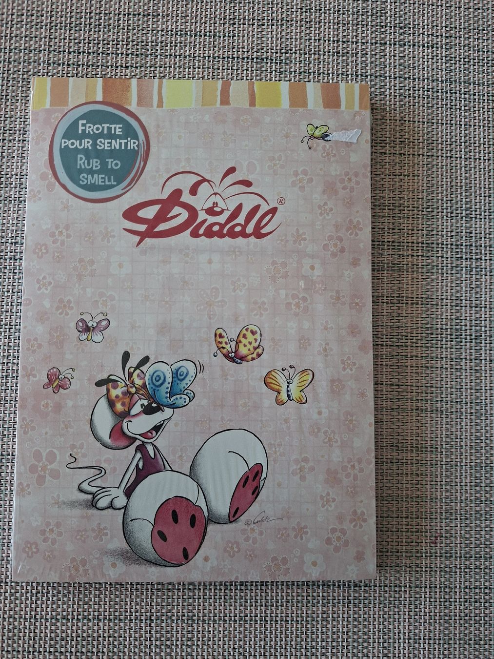 Blocchi: Diddl Block A5 - Back to school ovp – Nuovo e nell'imballaggio originale da Niederried b. Kall venduto da gabber23