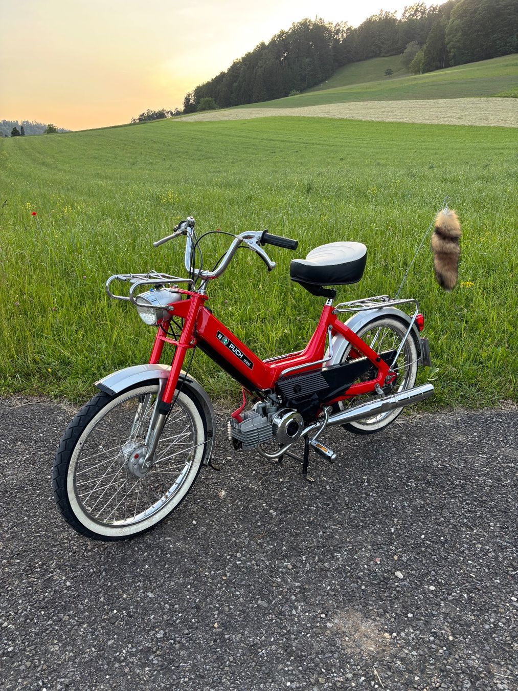 Puch Ciclomotori: Puch Maxi N ( Urmaxi ) – Usato da Turbenthal venduto da sch_8bqz