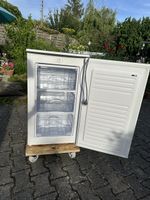 Gefrierschrank PrimaVista/Landi