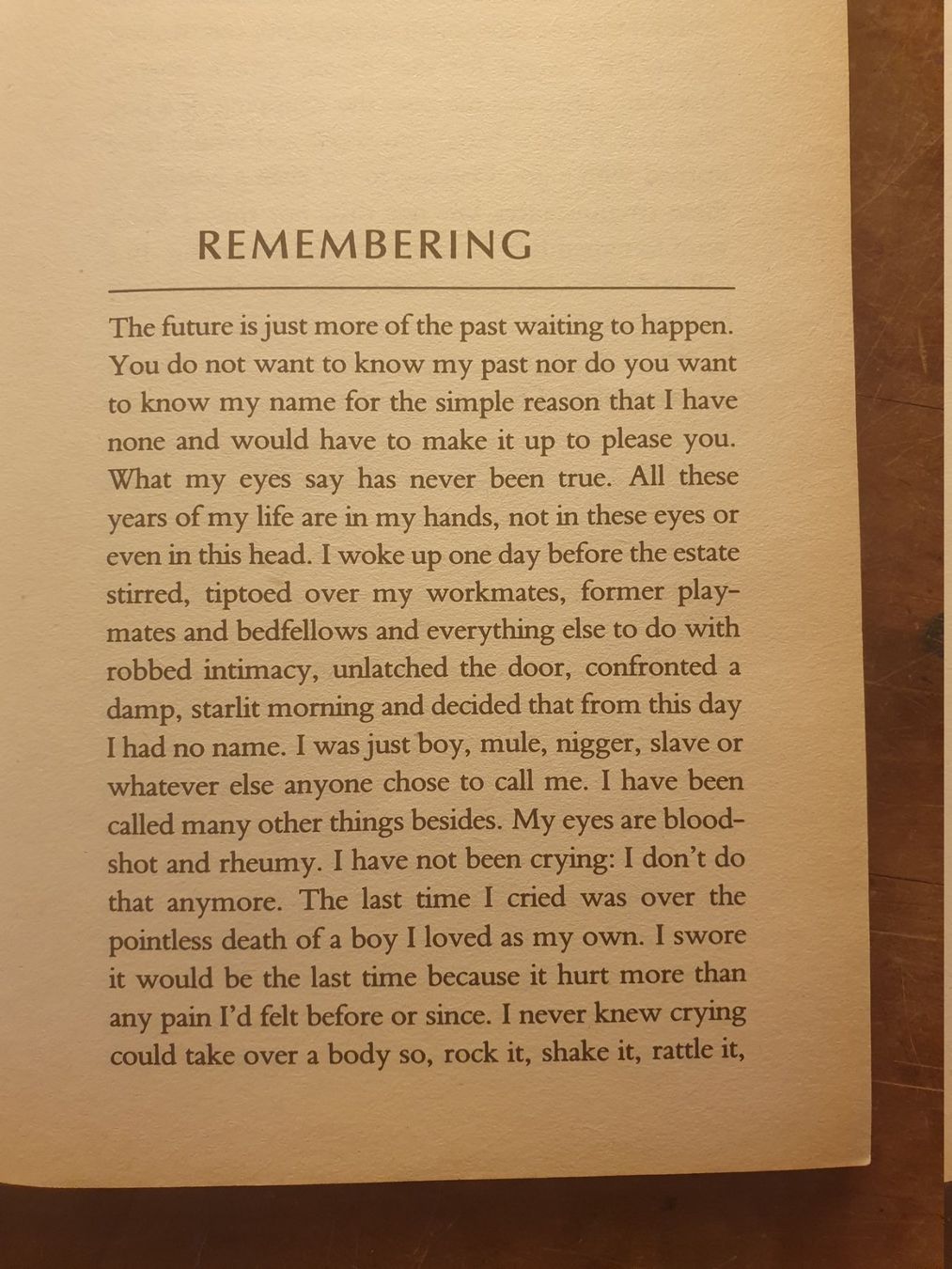 Libri: The Longest Memory - Dfred Daguair – Usato da Zürich venduto da loosebone 6