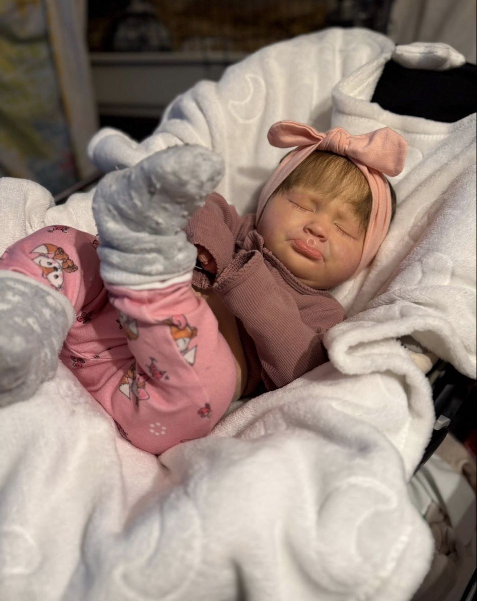 Reborn Puppen: Reborn – Neu (gemäss Beschreibung) aus Unterentfelden von van_m8g7