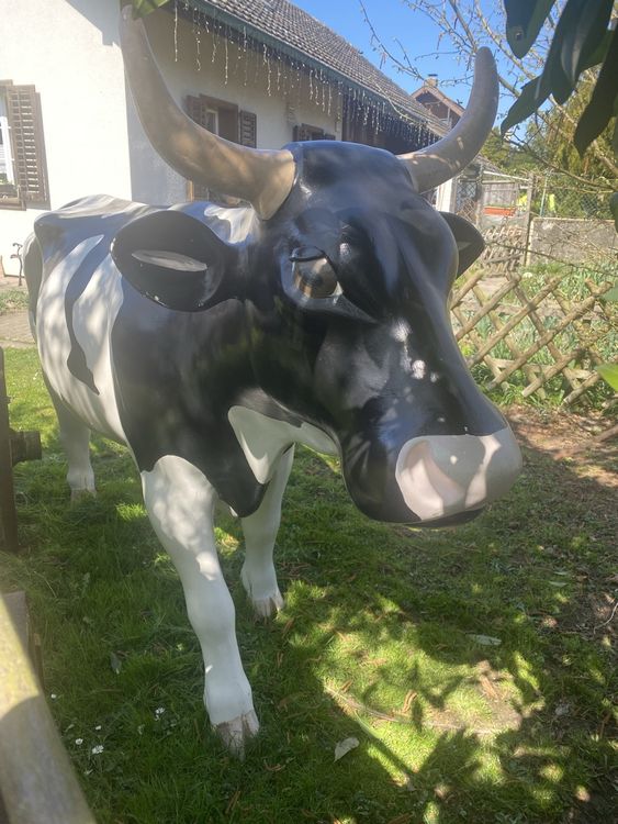 Kuh lebensgross, Milchkuh Rind 6