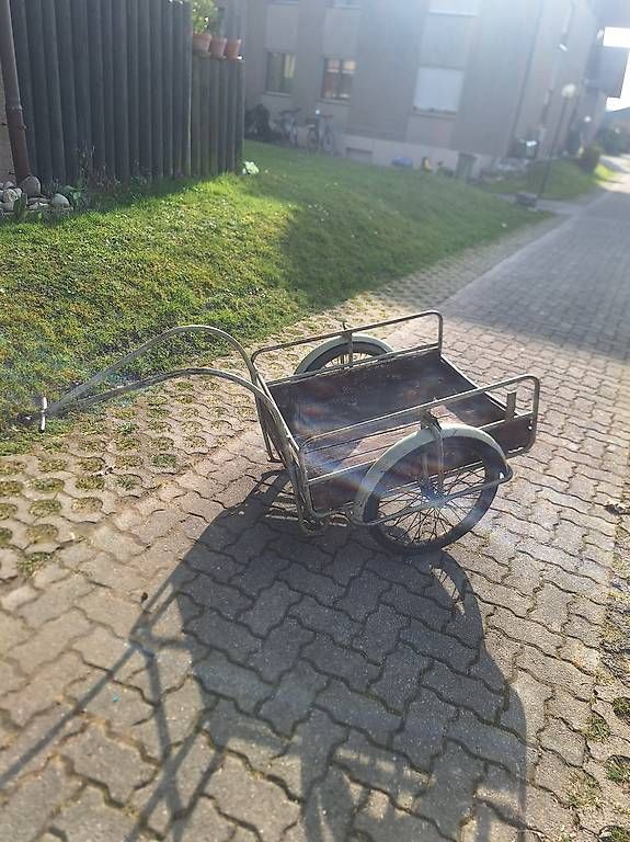 Rimorchi: Mofa / Veloanhänger – Usato da Madiswil venduto da Oleander2