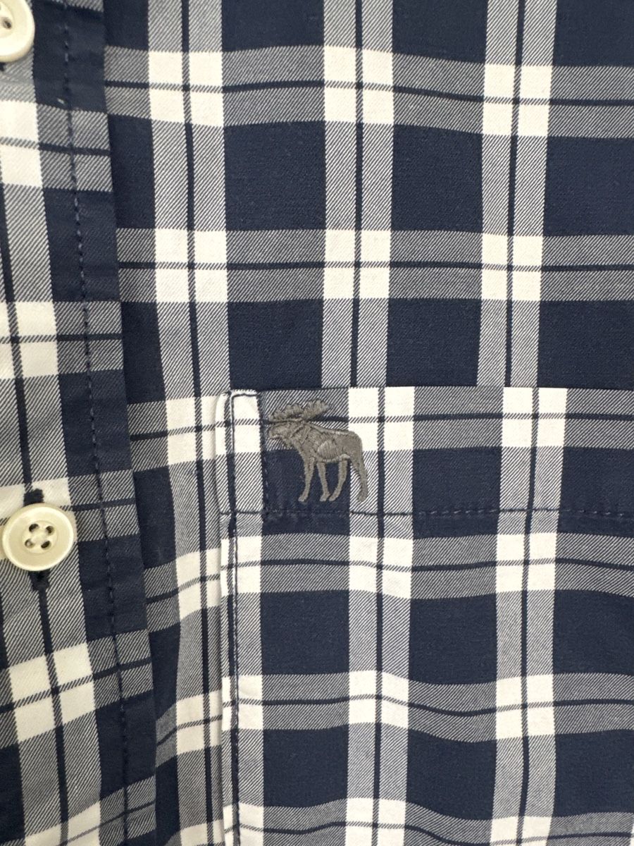 Abercrombie Camicie: Abercrombie & Fitch Hemd – Usato da Zürich venduto da L_12 1