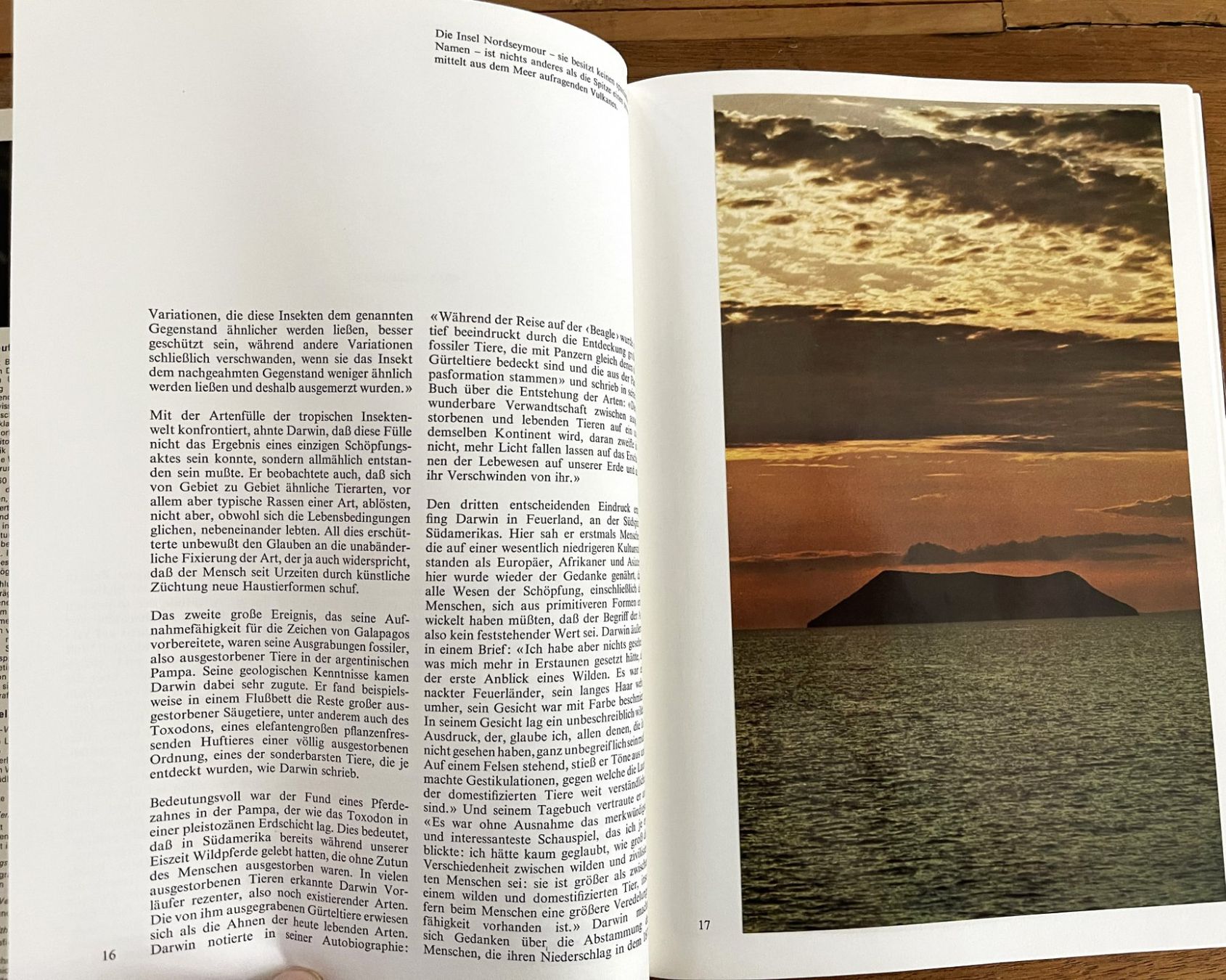 Libri: Silva Verlag, Zoo Galapagos, 1973 – Usato da Oftringen venduto da Vucki 4