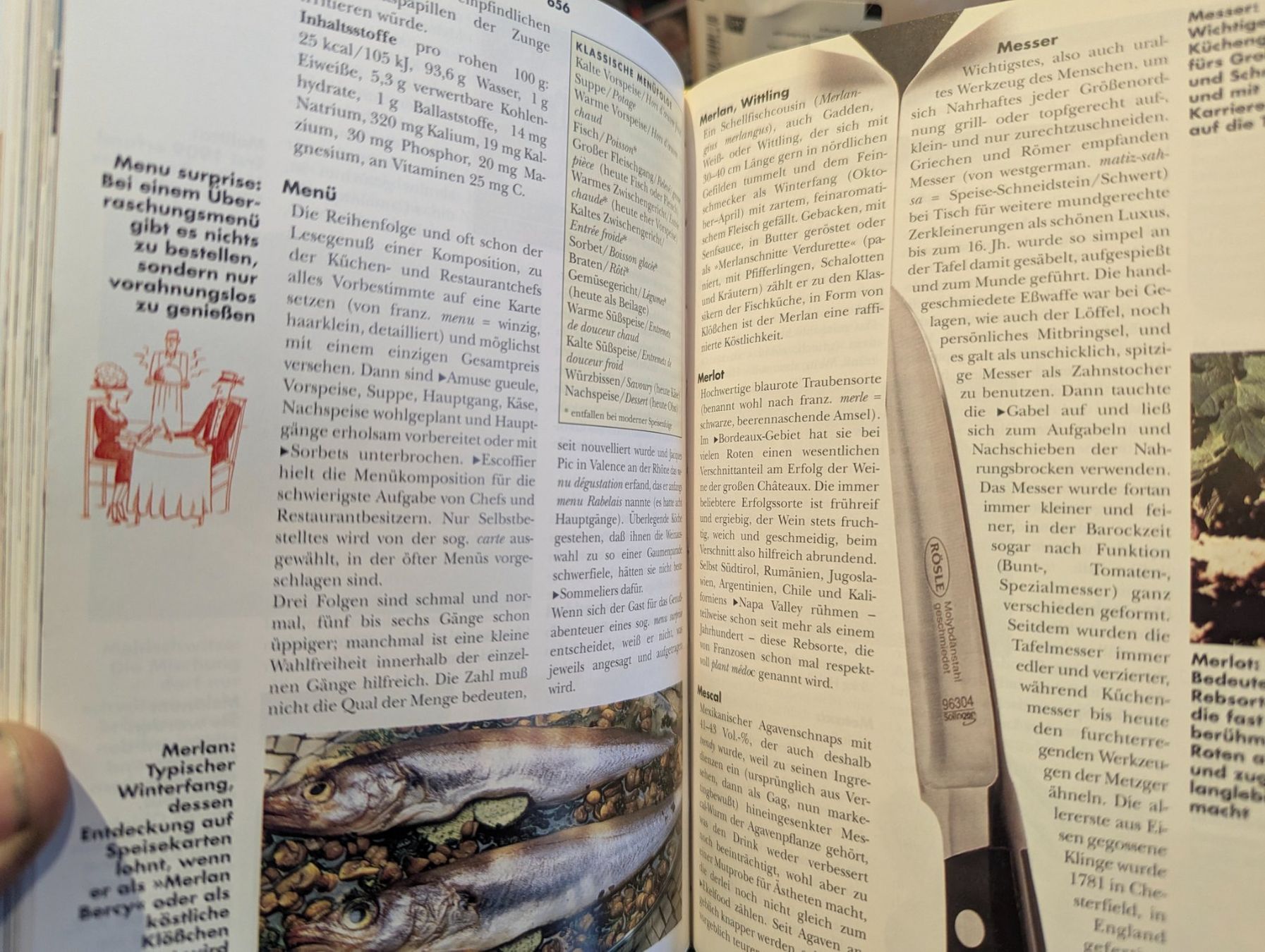 Libri: Das Gourmet Handbuch von Udo Pini – Nuovo (secondo la descrizione) da Unterengstringen venduto da Olifant4 4