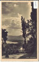 Zürichberg - animee