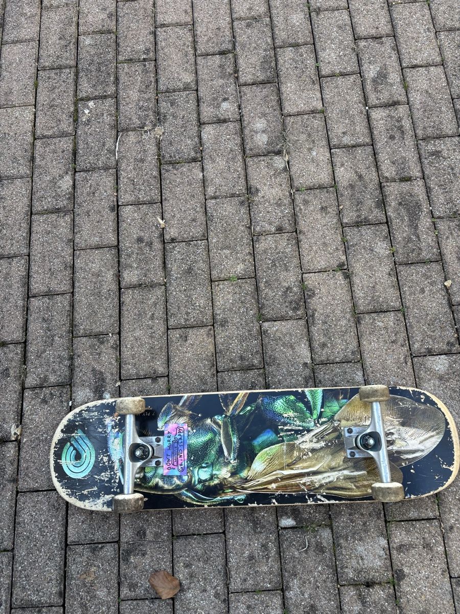 Skateboards: Skateboard – Usato da Bern venduto da Casher02 1