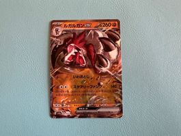 Pokemon Karte Top Zustand selten Wolverock EX