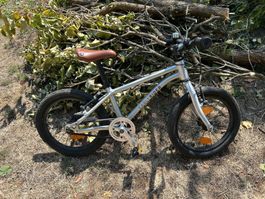 Early Rider 14 Zoll
