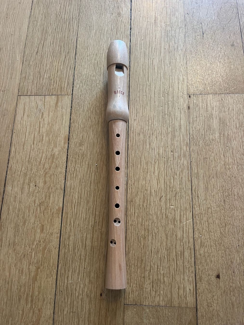 Strumenti musicali: Moeck Blockflöte und 2 Bücher – Usato da Bern venduto da Shera10 4