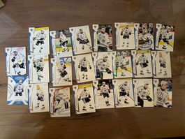 Sportzoo Fribourg Gotteron Serie 1 24/25