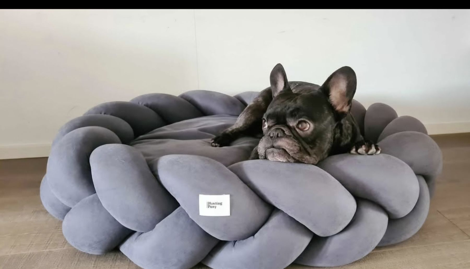 Betten: Grosse Hundebett – Gebraucht aus Schöftland von nad_595y 2