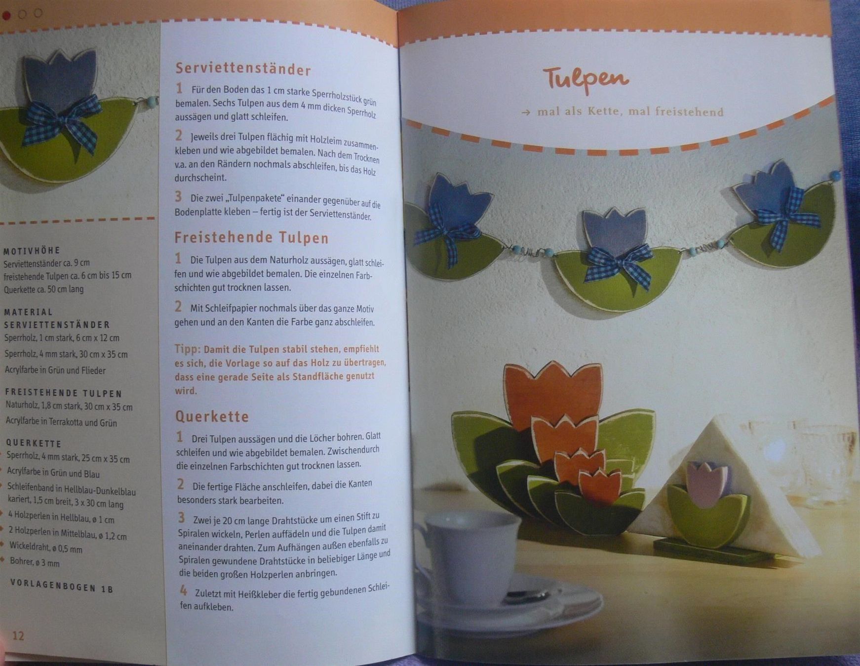 Libri: * Ländliche Holzdeko selber machen / Topp 2005 – Usato da Muttenz venduto da Negnuja 2