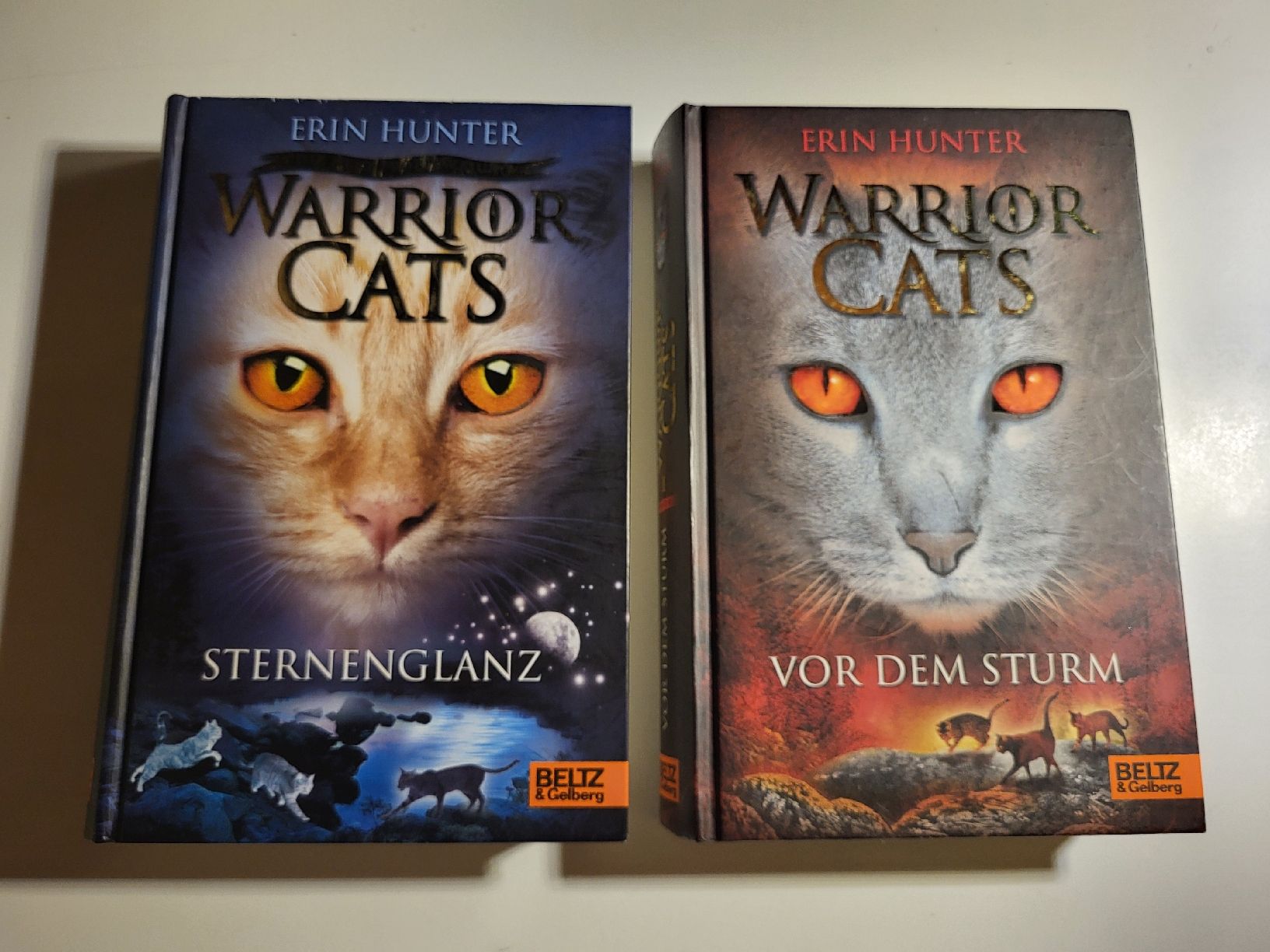Bücher: Warrior Cats Bücher - SternenClan & Vor dem Sturm – Gebraucht aus Ettiswil von beekeper13