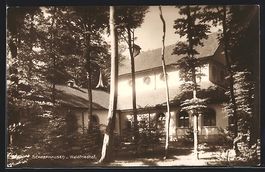 AK Schaffhausen, Waldfriedhof, 1920