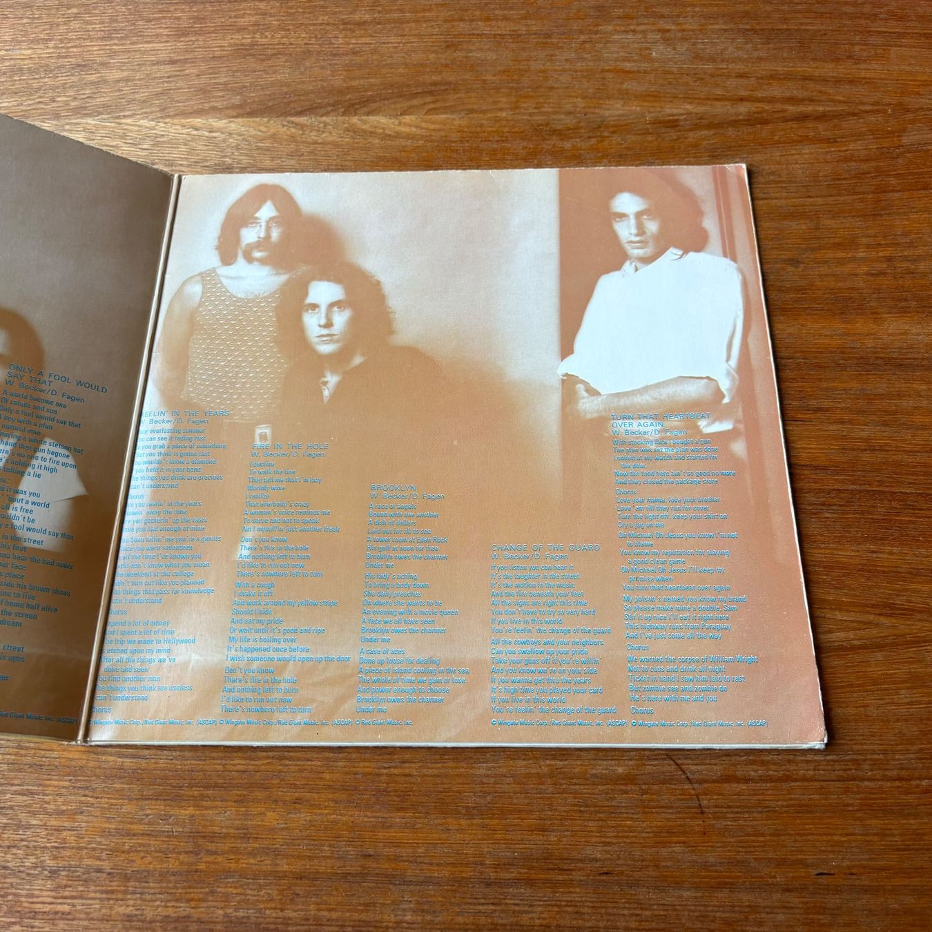 Dischi in vinile: Steely Dan – Can't Buy A Thrill – Usato da Zürich venduto da gaal7 3