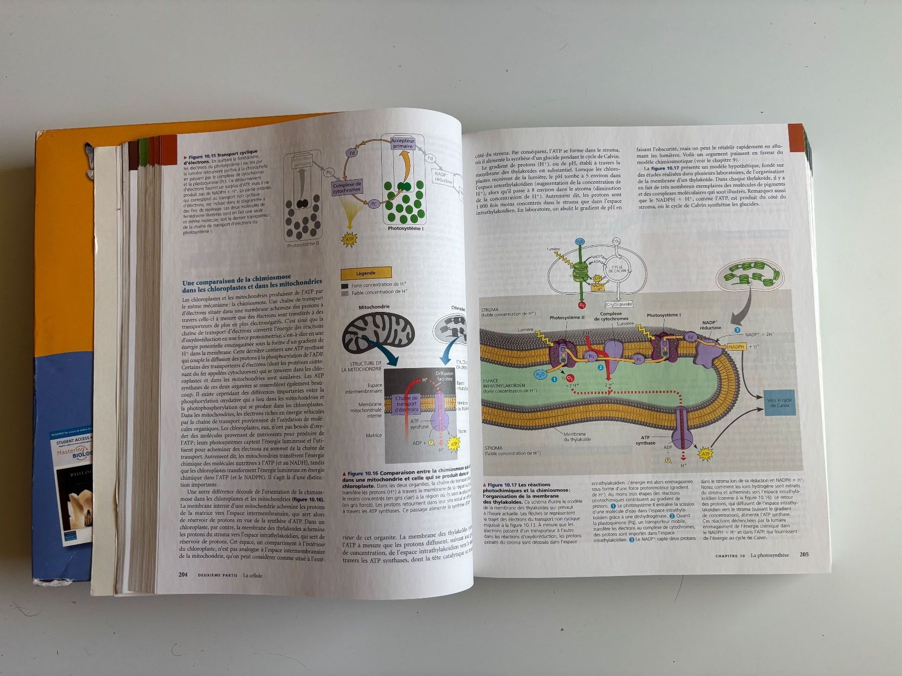 Libri: Campbell Biologie 7ème edition – Usato da St-Ursanne venduto da tui_x5vz 1