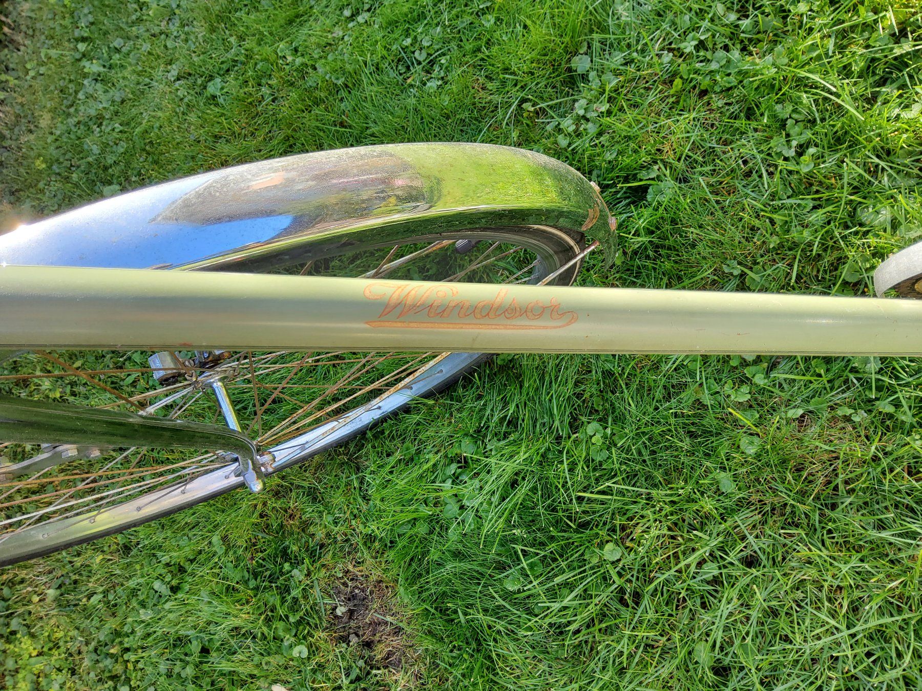 Mondia Velos: Mondia Windsor – Gebraucht aus Hägendorf von  8