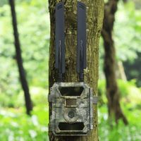 Wildkamera 4G LTE Trailcam