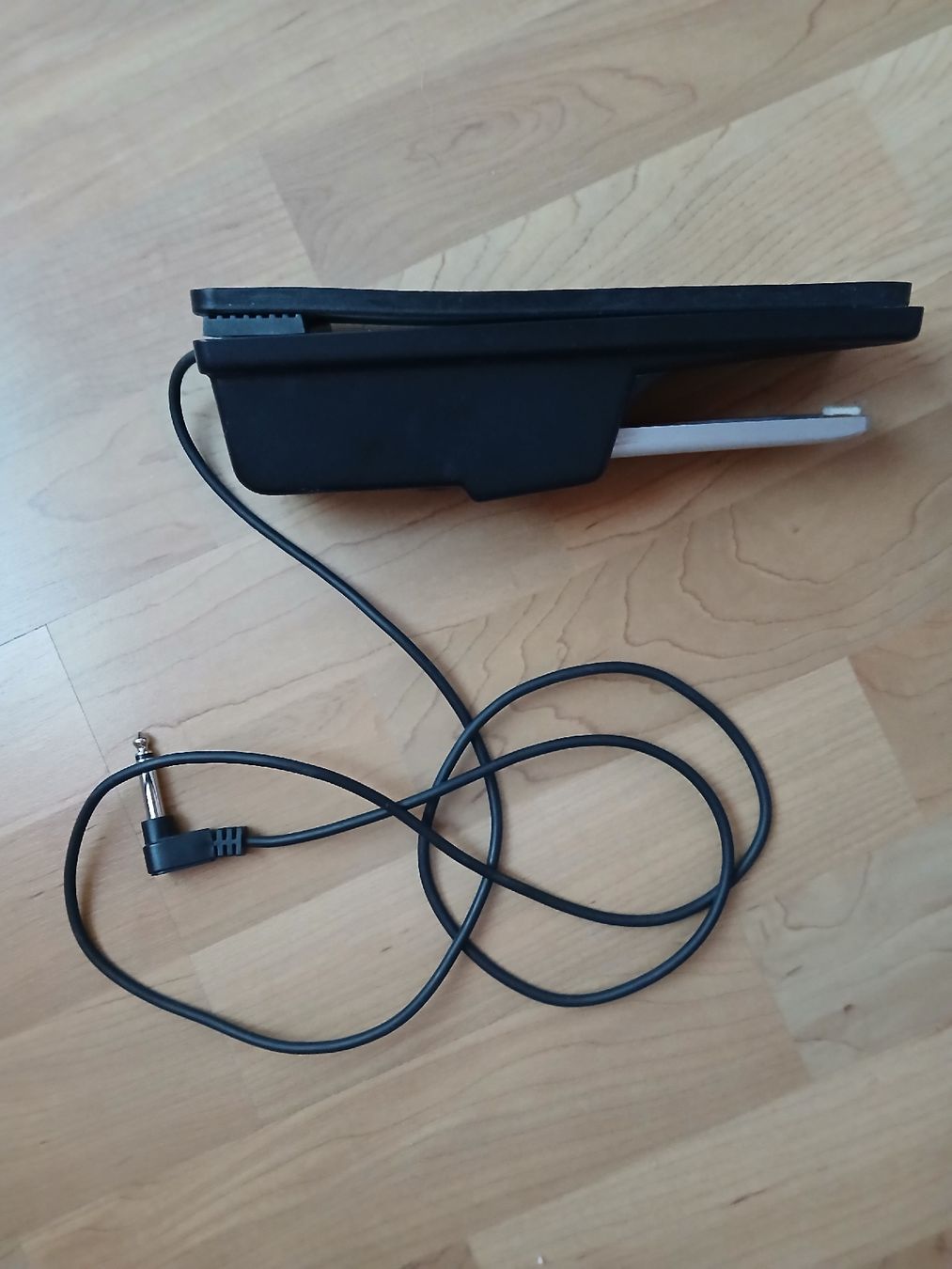 Roland Strumenti musicali: Pedale sustain Roland – Usato da Le Brassus venduto da bla_7wxg 2