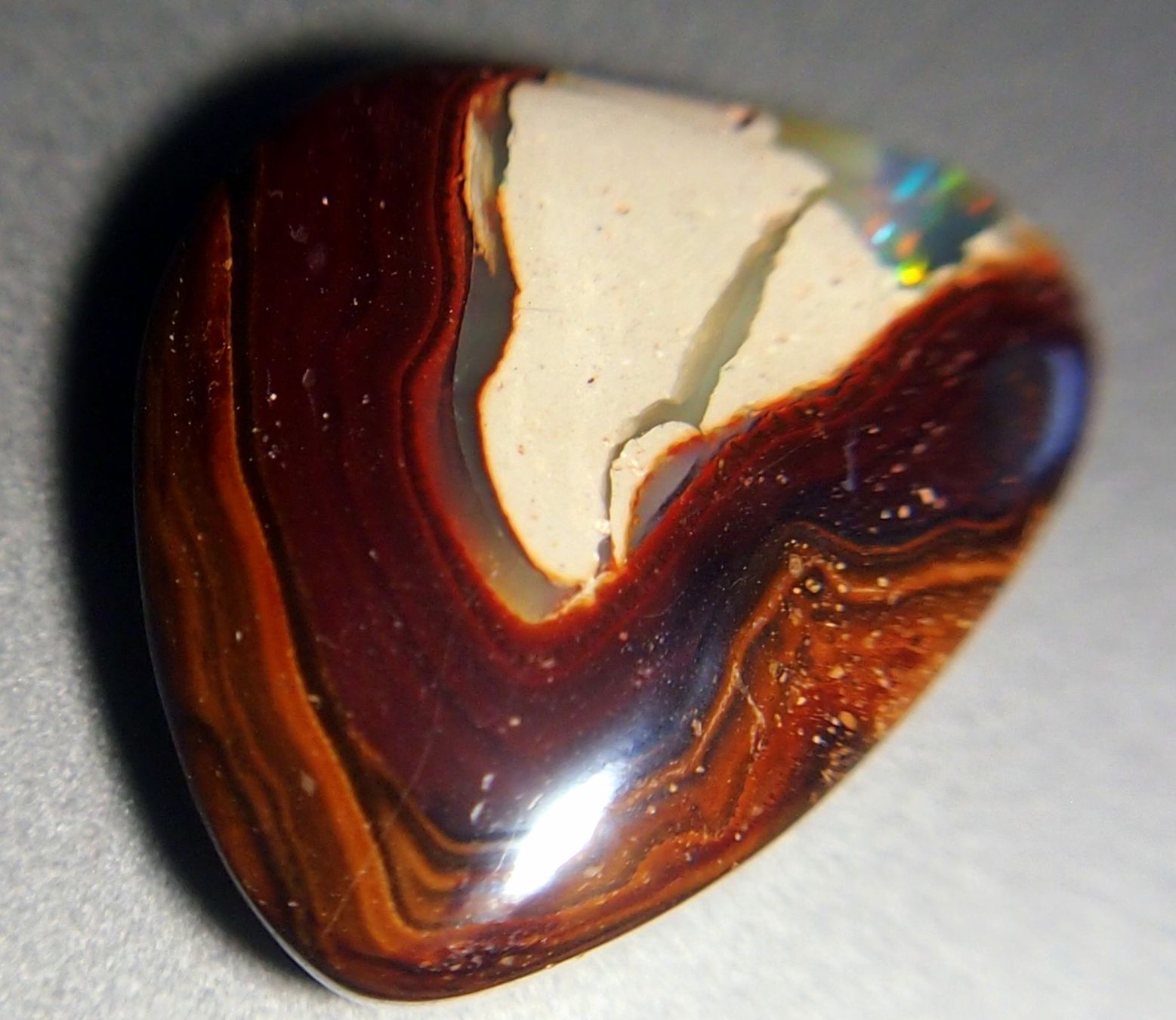 Pietre preziose: 34,6 ct. Koroitopal mit Opalfunken AAA! – Nuovo e nell'imballaggio originale da Reinach BL venduto da blumarco 8