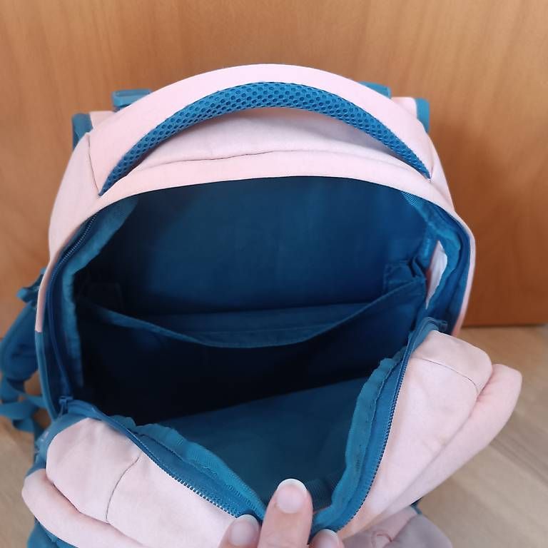 Rucksäcke: Satch Rucksack Free Ride Bluebird rosa/blau – Gebraucht aus Hofstetten SO von lil_6dxv 1