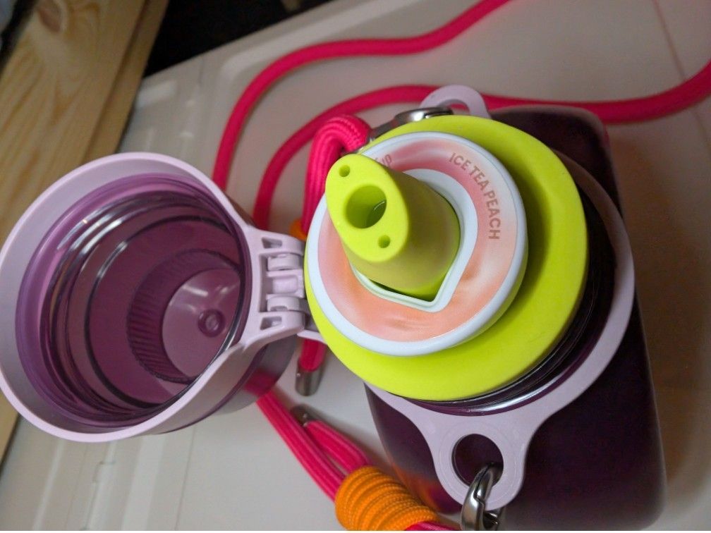 Air Up Borracce & Thermos: Air up Trinkflasche  – Nuovo (secondo la descrizione) da Birmenstorf AG venduto da foxy0815 1