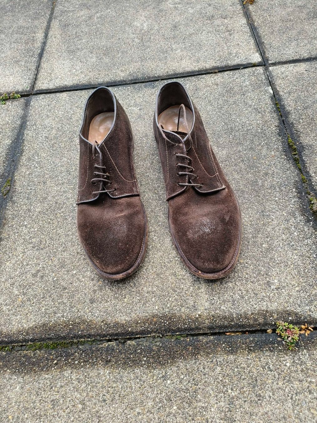 Moma Scarpe da uomo: MOMA schuhe Gr. 45 – Usato da Zumikon venduto da dwl_j987 2