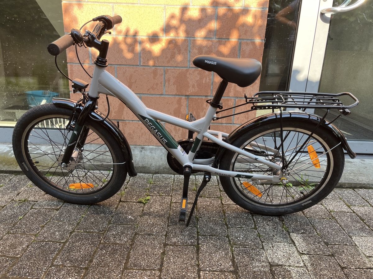 Velos: Kinder Fahrrad - Pegasus Arcona 20 – Gebraucht aus Basel von std_yrq6 1