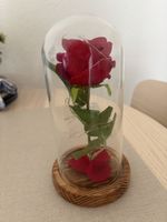 Belle rose rouge sous cloche lumineuse bois neuf
