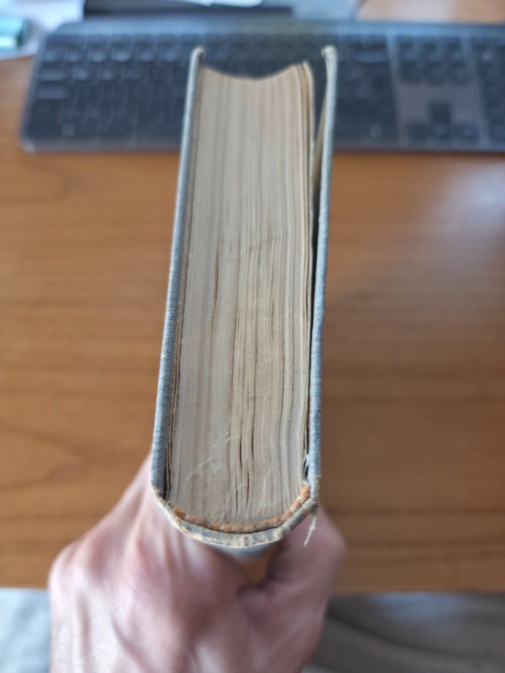 Libri: Binz Schul- und Exkursionsflora Schweiz 1920 – Usato da Aldesago venduto da lusuardi 2