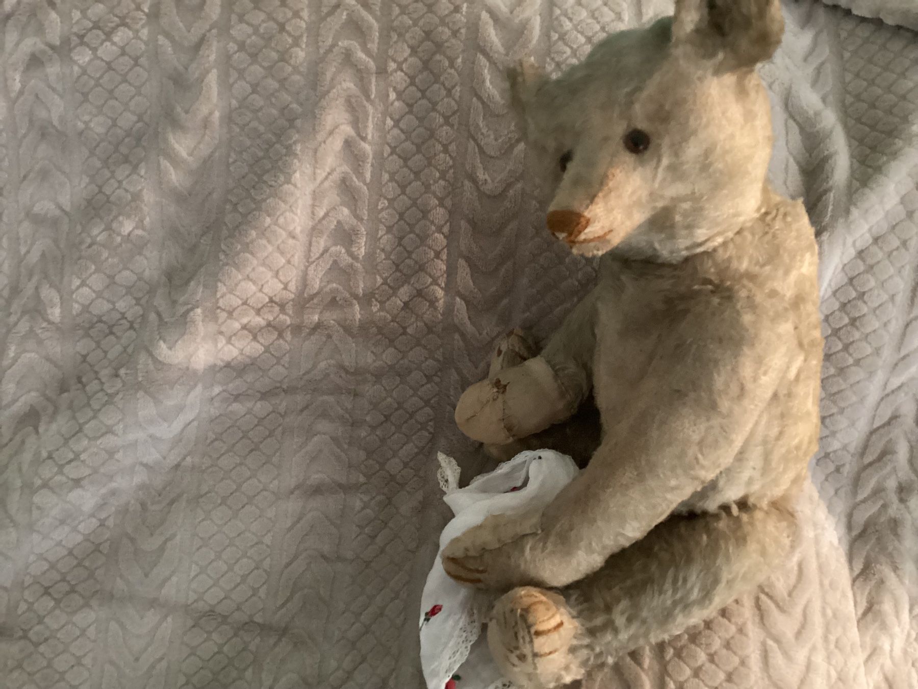 Steiff Jouets: ANTIKER STEIFF TEDDY VORKRIEG – D'occasion à Münchenstein par NoSu98 2