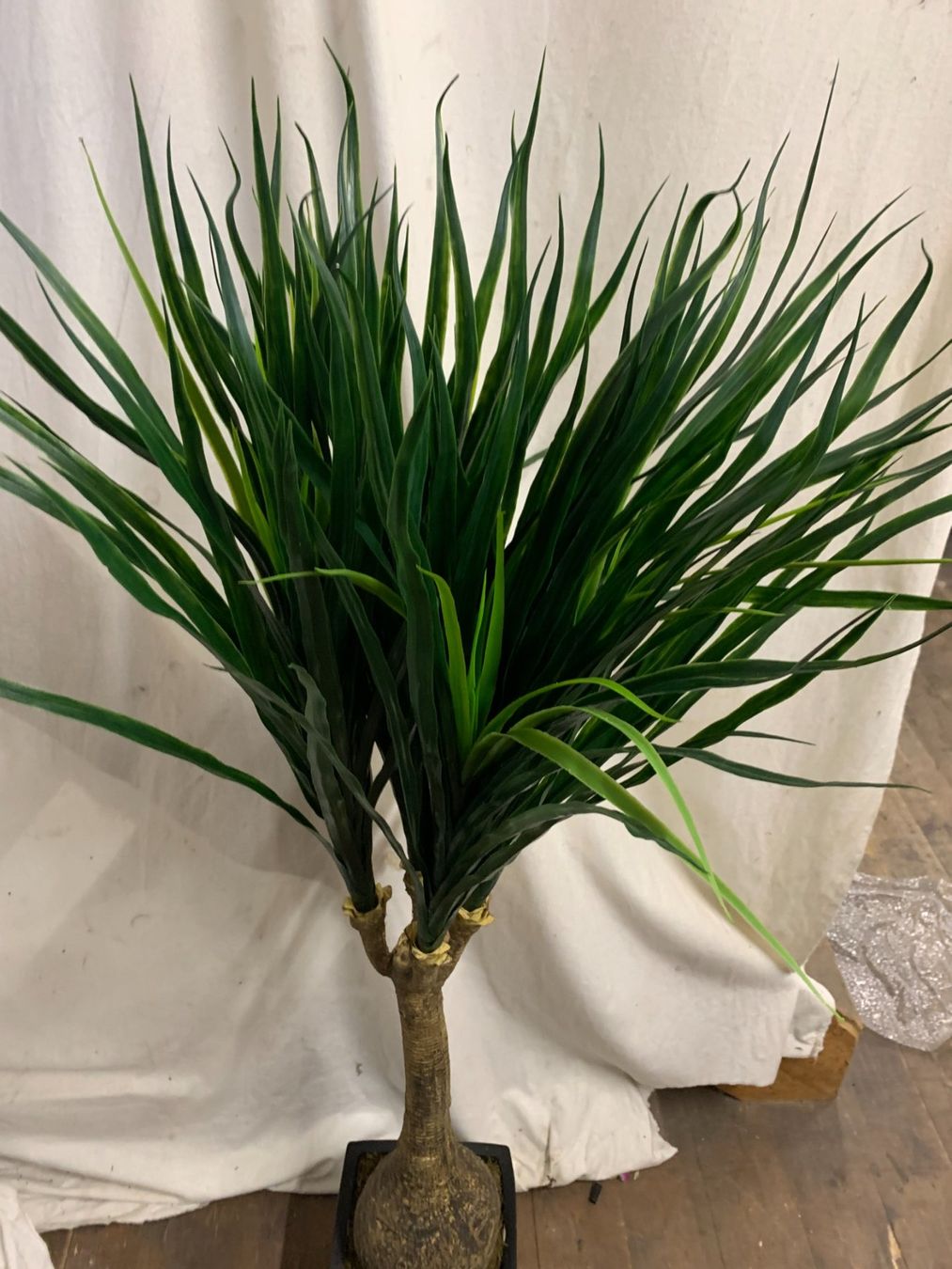 Piante & sementi: Decoflower Taro Palme 150cm im Topf – Nuovo (secondo la descrizione) da Däniken SO venduto da Profog1 1
