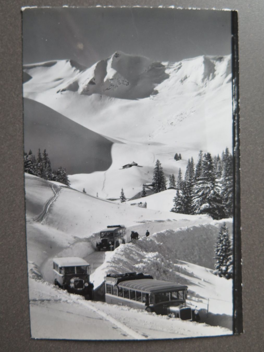 Cartes postales: ADELBODEN -  SAURER-POSTAUTOS – D'occasion à Wittenbach par lipasal