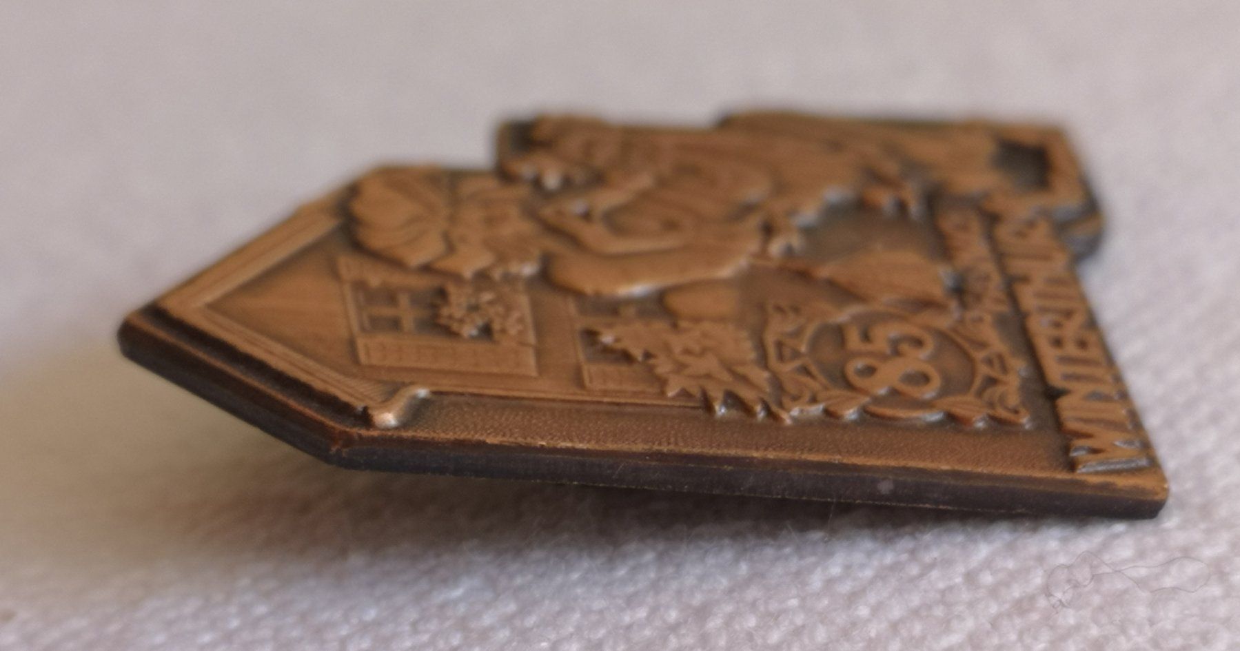 Placchette & Badge: Fasnachtsplakette Winterthur 1985 – Usato da Zürich venduto da Tanteemma369 3