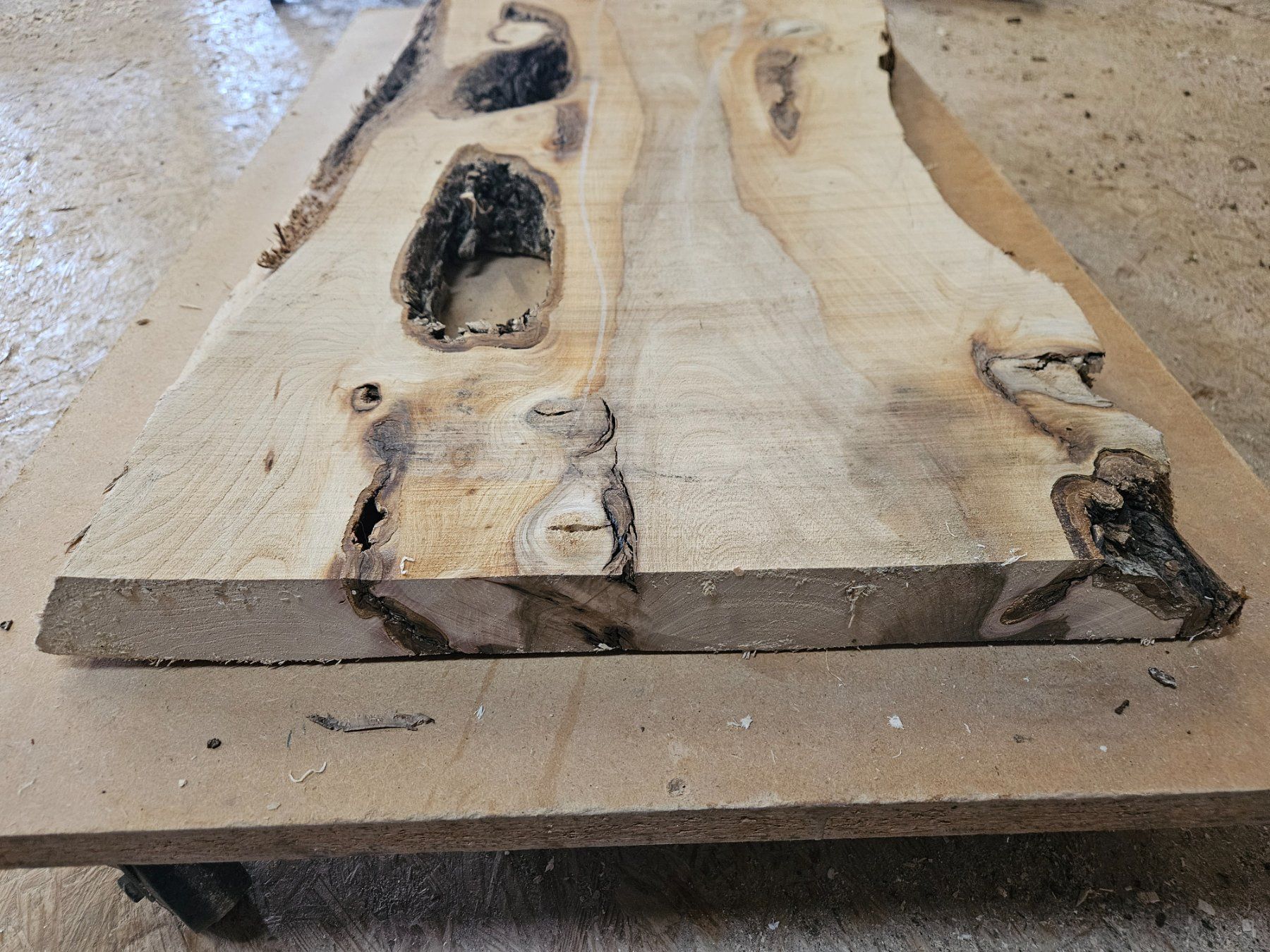 Articoli in legno: Ulmen Holzbrett – Nuovo (secondo la descrizione) da Schangnau venduto da egli6.2 5
