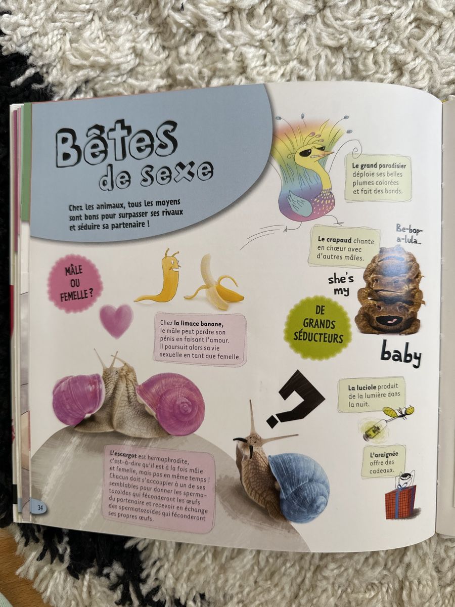 Libri: Zizi lolos smack – Usato da Le Mont sur Lausanne venduto da butterfly67 3