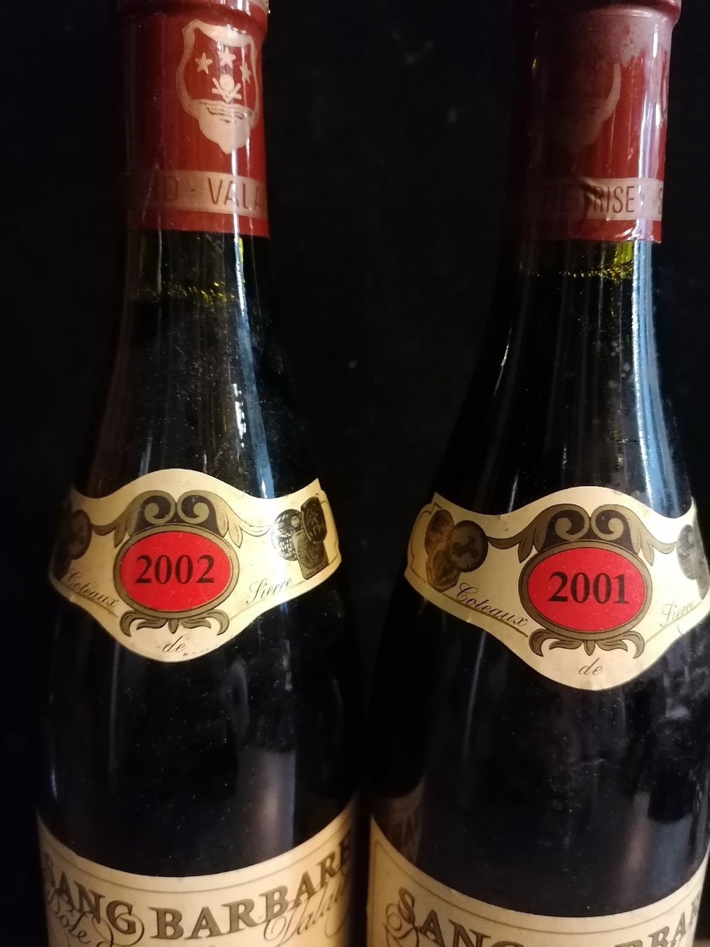 Vins: 2 x Sang Barbare Dôle du Valais 2001/2002 AOC – Neuf (Voir description) à Genève par Leboucheoreilles 1
