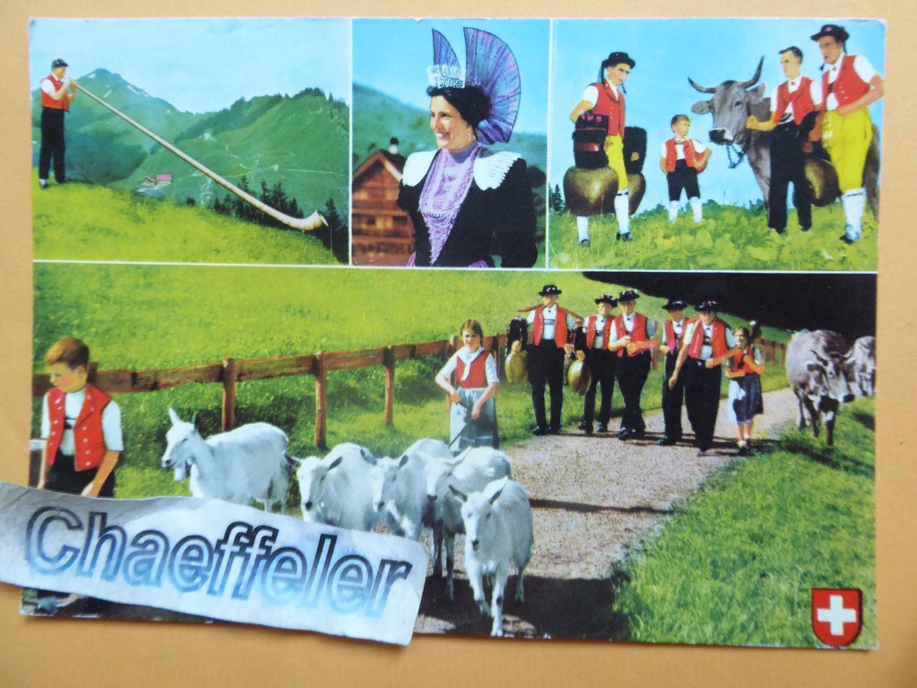 Cartoline postali: Schweiz / Susse / Switzerland – Usato da Zürich venduto da Chaeffeler