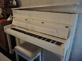 Piano Sauter Special Edition True Love