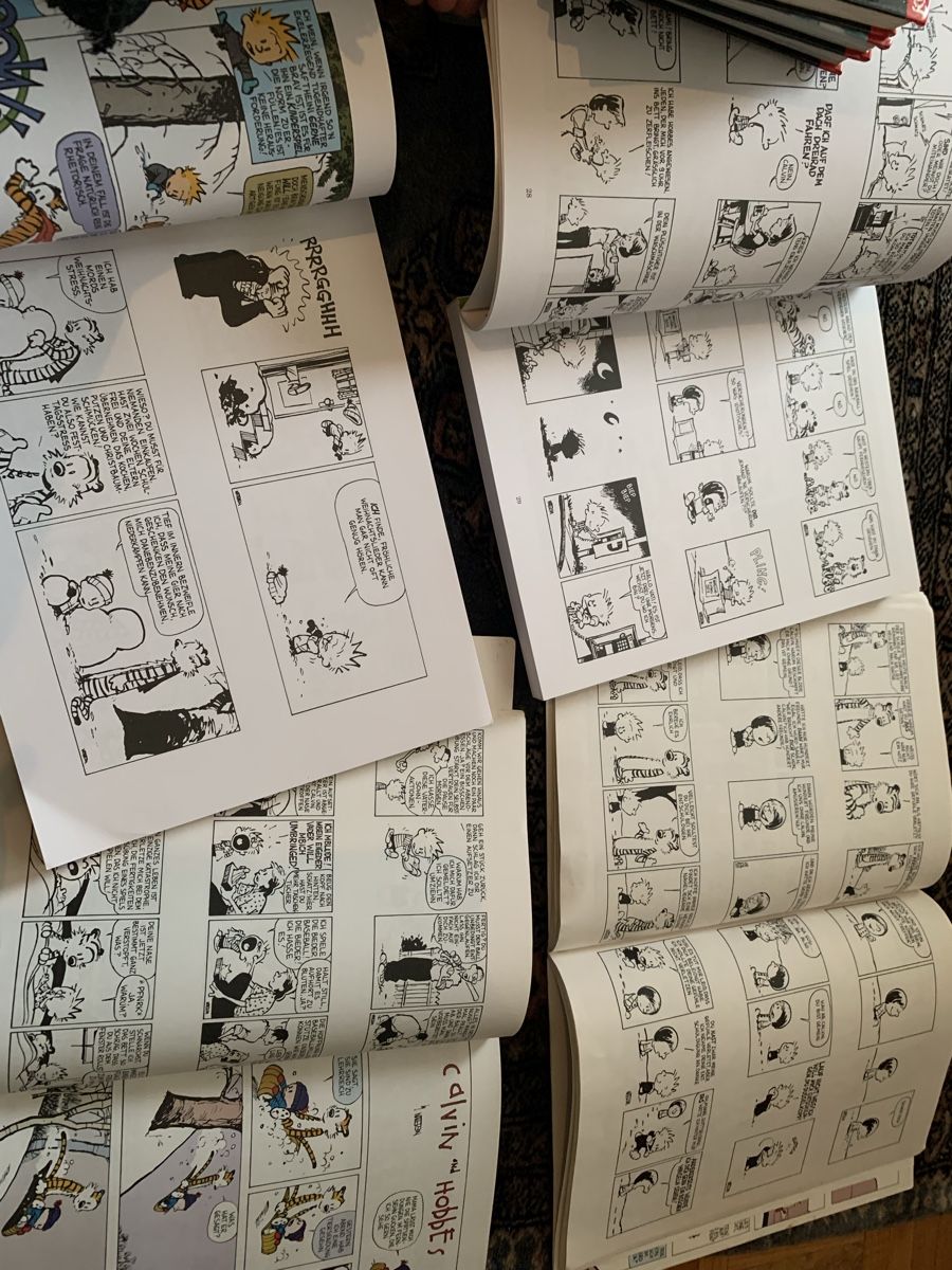 BD: CALVIN und HOBBES 5 Comics – D'occasion à Uster par bek_v2ct 3