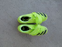 Nagelschuhe Leichtathletik, Grösse 43 1/2