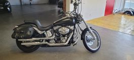 Harley Angebot🔥 SOFTAIL frisch ab MFK!