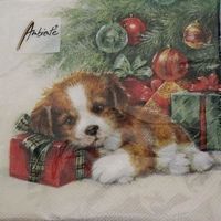 Serviette gift gaurd (1069) 2Stk.