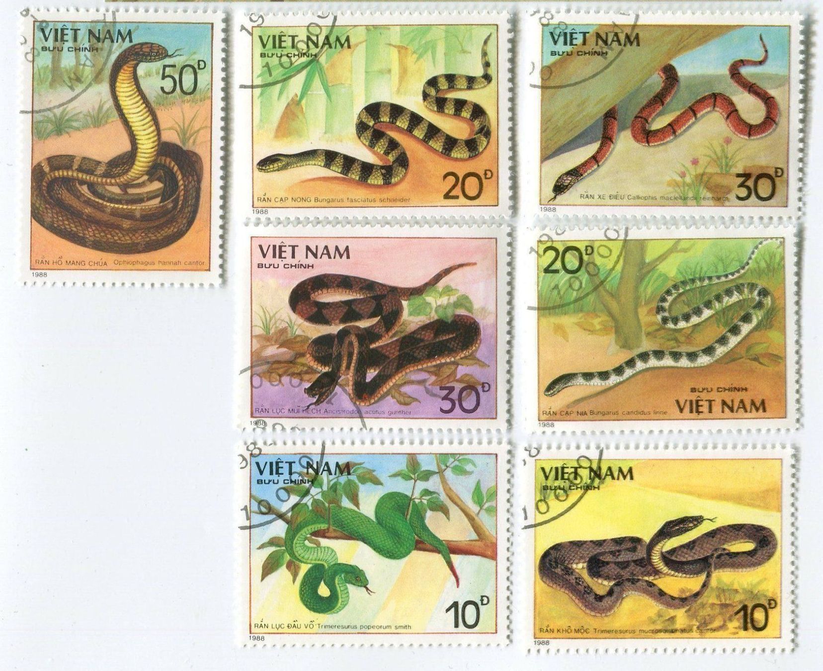 Alle Briefmarken: Briefmarken "Schlangen". Vietnam. – Neu und originalverpackt aus Basel von Butsch5