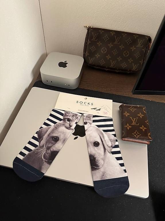 Calze: 6ixty8ight Socks - Size 38 (Dog/Cat) – Nuovo e nell'imballaggio originale da Schübelbach venduto da SchweizPremiumShop 3