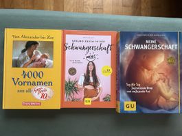 3 Schwangerschaftsbücher